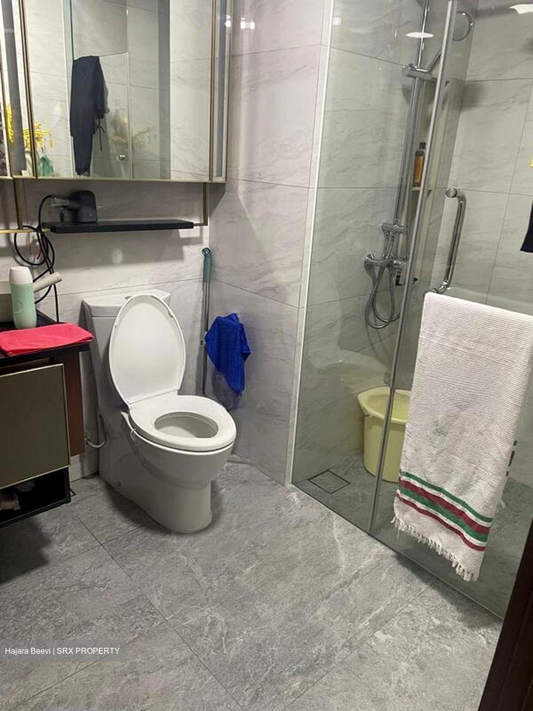 Normanton Park (D5), Apartment #504102961